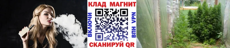 Канабис Нальчик