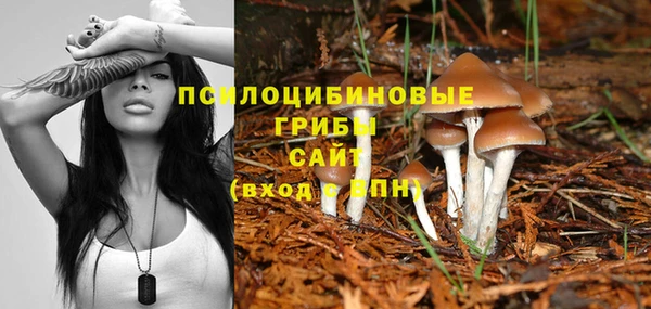 спиды Беломорск