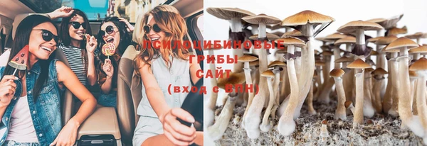 спиды Беломорск