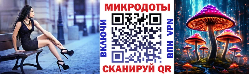 Галлюциногенные грибы Psilocybine cubensis  Купить закладки  Нальчик 